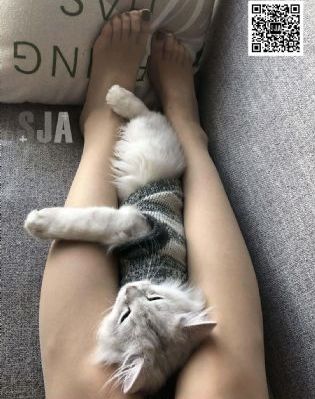 激情视频亚洲_BD国语免费观看视频